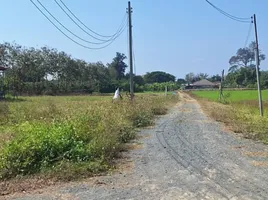  Grundstück zu verkaufen in Saraphi, Chiang Mai, Chomphu, Saraphi, Chiang Mai