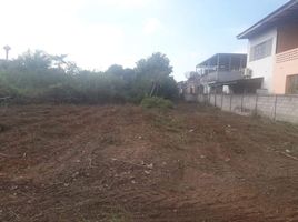 Land for sale in Wiang, Chiang Khong, Wiang
