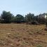  Land for sale in Si Sunthon, Phuket, Si Sunthon