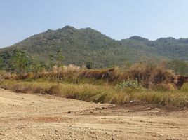  Grundstück zu verkaufen in Phatthana Nikhom, Lop Buri, Chon Noi, Phatthana Nikhom