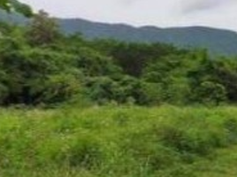  Land for sale in Phan, Chiang Rai, Mae O, Phan