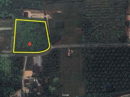  Land for sale in Nakhon Si Thammarat, Chai Montri, Mueang Nakhon Si Thammarat, Nakhon Si Thammarat