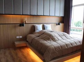 3 Schlafzimmer Appartement zu vermieten im My Hip Condo , Nong Pa Khrang