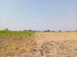  Grundstück zu verkaufen in Doem Bang Nang Buat, Suphan Buri, Bo Kru