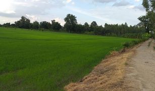 Phanom Rok, Nakhon Sawan တွင် N/A မြေ ရောင်းရန်အတွက်