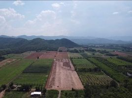  Land for sale in Dan Chang, Suphan Buri, Nong Makha Mong, Dan Chang