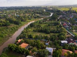  Land for sale in Chiang Mai, Khi Lek, Mae Rim, Chiang Mai