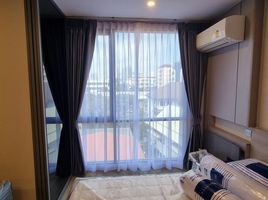 1 Schlafzimmer Wohnung zu vermieten im SIGN Condo Sukhumvit 50, Phra Khanong