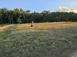  Land for sale in Chiang Khan, Loei, Chiang Khan, Chiang Khan