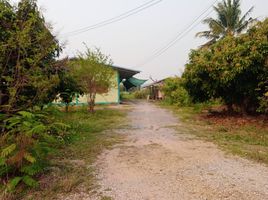  Grundstück zu verkaufen in San Sai, Chiang Mai, Mae Faek Mai