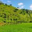  Grundstück zu verkaufen in Lombok Tengah, West Nusa Tenggara, Praya Barat