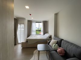 1 Schlafzimmer Wohnung zu vermieten im The Muve Bangna, Bang Na