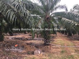  Land for sale in Malaysia, Padang Masirat, Langkawi, Kedah, Malaysia