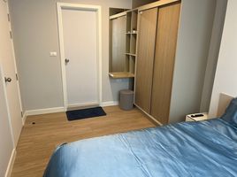1 Bedroom Apartment for rent at The Cube Amaze, Si Sunthon, Thalang