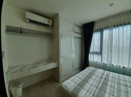 1 Schlafzimmer Wohnung zu vermieten im Life Asoke, Bang Kapi