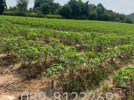  Land for sale in Chon Buri, Bang Phra, Si Racha, Chon Buri