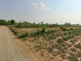  Land for sale in Kranuan, Khon Kaen, Nong No, Kranuan