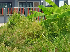  Grundstück zu verkaufen in Pluak Daeng, Rayong, Pluak Daeng, Pluak Daeng