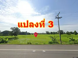  Land for sale in Buri Ram, Kalantha, Mueang Buri Ram, Buri Ram