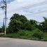  Grundstück zu verkaufen im Flora Ville Park City Suwinthawong, Saen Saep
