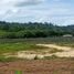  Land for sale in Thalang, Phuket, Thep Krasattri, Thalang