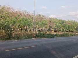  Grundstück zu verkaufen in Klaeng, Rayong, Wang Wa, Klaeng, Rayong, Thailand