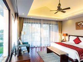 3 Schlafzimmer Haus zu verkaufen in Ngu Hanh Son, Da Nang, Hoa Hai, Ngu Hanh Son