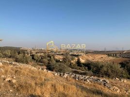  भूमि for sale at Mohamed Bin Zayed City, Mussafah Industrial Area, Mussafah