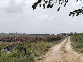  Land for sale in Suvarnabhumi Airport, Nong Prue, Khlong Sam Prawet