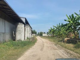  Grundstück zu verkaufen in Lat Lum Kaeo, Pathum Thani, Na Mai