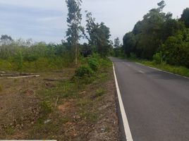  Grundstück zu verkaufen in Tha Chang, Surat Thani, Khlong Sai