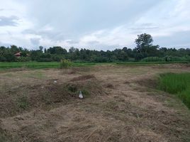  Land for sale in Mae Taeng, Chiang Mai, Khi Lek, Mae Taeng