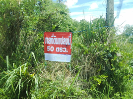  Grundstück zu verkaufen in Sattahip, Chon Buri, Phlu Ta Luang