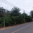  Land for sale in Pa Khlok, Phuket, Pa Khlok, Thalang