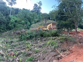  Land for sale in Phuket International Airport, Mai Khao, Sakhu