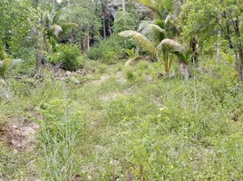  Land for sale in Surat Thani, Ko Pha-Ngan, Ko Pha-Ngan, Surat Thani