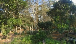 N/A Land for sale in Pa Sang, Chiang Rai 