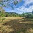  Land for sale in Thalang, Phuket, Pa Khlok, Thalang