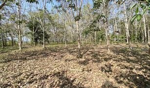 N/A Land for sale in Wiang, Chiang Rai 