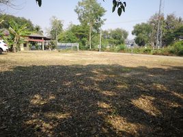  Land for sale in Global House Wiang Kum Kam, Tha Wang Tan, Tha Wang Tan