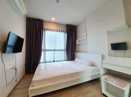 1 Schlafzimmer Appartement zu vermieten im THE BASE Height Mittraphap - Khonkaen, Nai Mueang, Mueang Khon Kaen, Khon Kaen