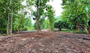 N/A Land for sale in Pa Miang, Chiang Mai 
