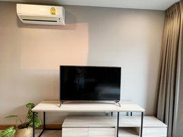 1 Schlafzimmer Appartement zu vermieten im Tree Condo Sukhumvit 50, Phra Khanong