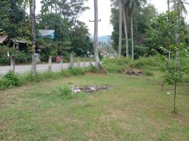  Land for sale in Pa Khlok, Thalang, Pa Khlok