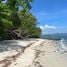 Land for sale in Thalang, Phuket, Pa Khlok