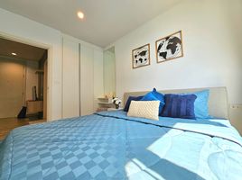 1 Schlafzimmer Wohnung zu verkaufen im The Base Height, Talat Yai, Phuket Town, Phuket