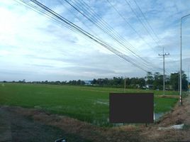  Land for sale in Chachoengsao, Don Chimphli, Bang Nam Priao, Chachoengsao