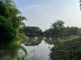 ขายที่ดิน ใน เมืองเพชรบูรณ์ เพชรบูรณ์, น้ำร้อน, เมืองเพชรบูรณ์, เพชรบูรณ์