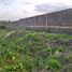  Land for sale in Dangbe West, Greater Accra, Dangbe West, Greater Accra