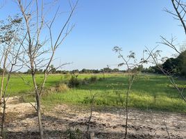  Land for sale in Mueang Nakhon Sawan, Nakhon Sawan, Nong Krot, Mueang Nakhon Sawan